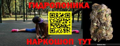 гидра Новодвинск