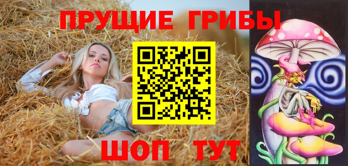 Псилоцибиновые грибы GOLDEN TEACHER Уссурийск